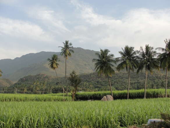 Residentail Land for sale in nagercoil, Parvathipuram