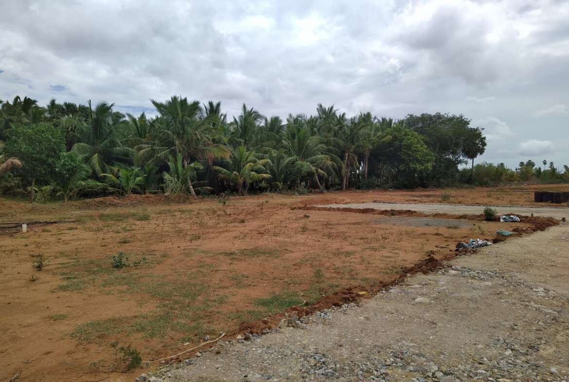 Plots for sale in Valliyur