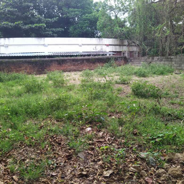 6 Cent Land for sale in Nagercoil, Near by SCOTT CHRISTIAN COLLEGE 11 land for sale in nagercoil