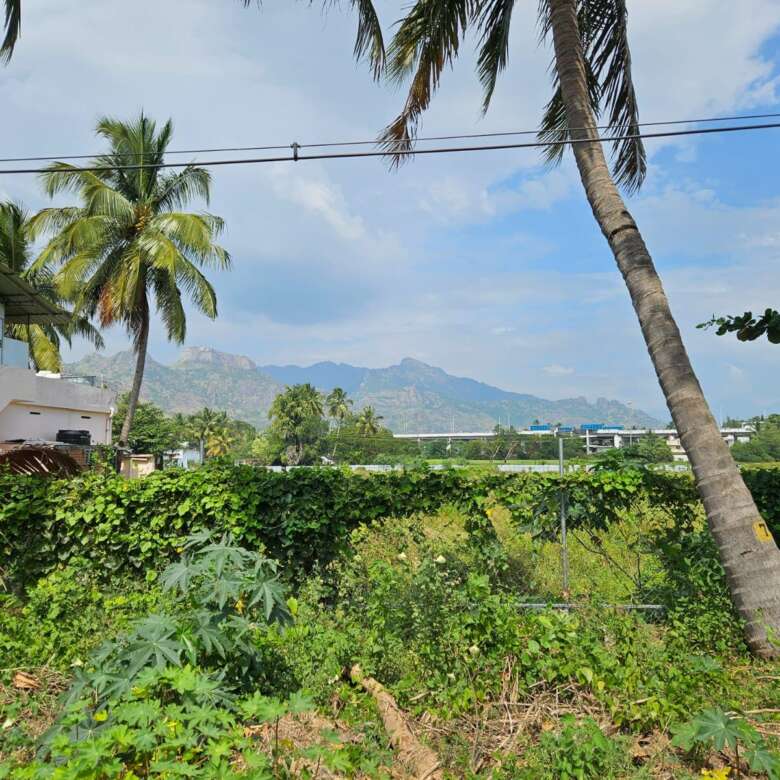 Land for sale in Parvathipuram