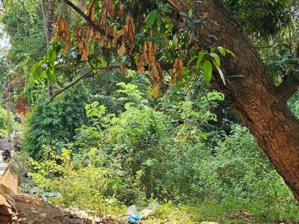 Best Investment Property for sale