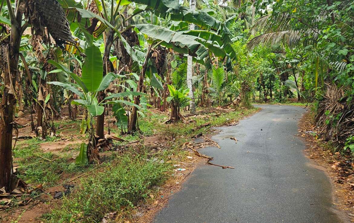 Land for sale in Allankottai