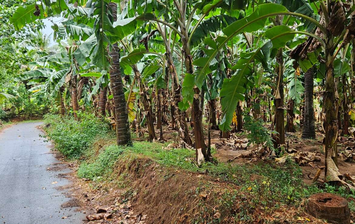 Land for sale in Allankottai