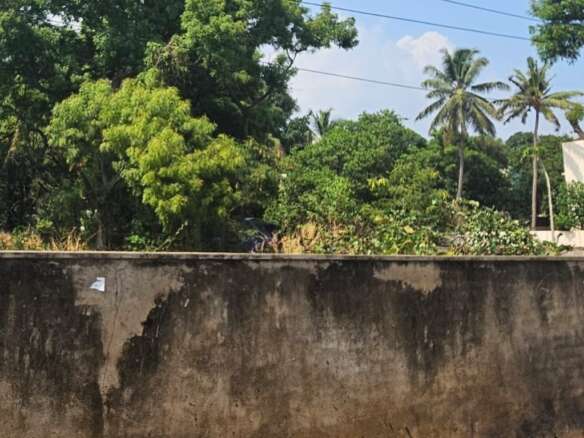 Land for sale near Palpannai
