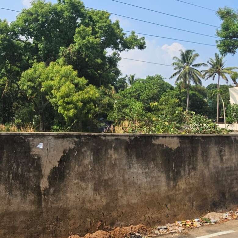 Land for sale near Palpannai