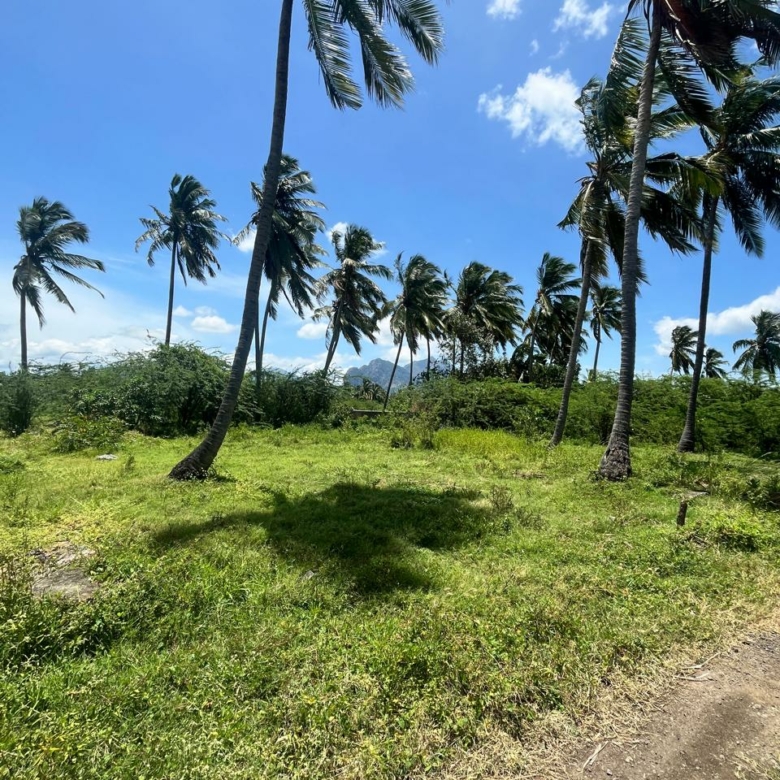 Land for sale in Erachakulam