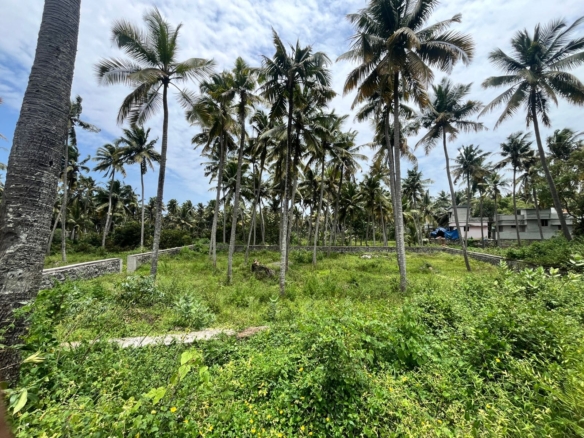 Land for sale in Kurunthancode 16 Land for sale in Kurunthancode