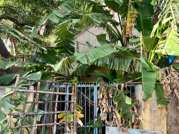 Land for sale in Nagercoil 12 Land for sale in Nagercoil