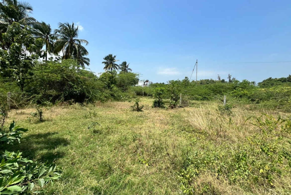land for sale in vellamadam