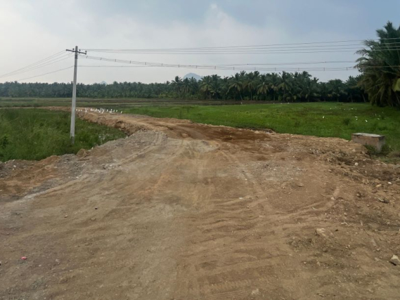 2Acre Land for sale in Anjugrammam 8 2Acre Land for sale in Anjugrammam