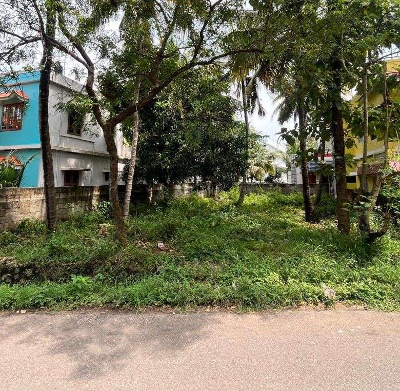 Land for sale in Mukkalampadu Kurunthancode
