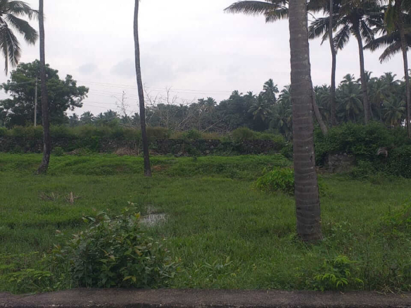 Land For Sale near Parvathipuram, Nagercoil 18 Land for Sale