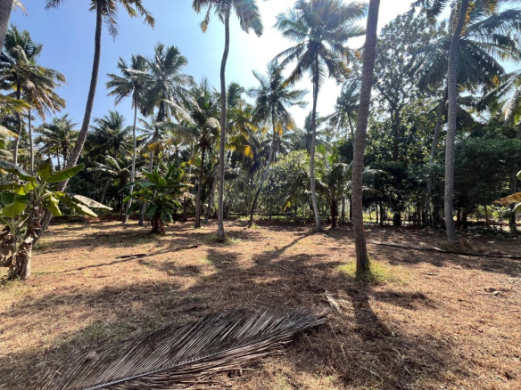 Land For Sale in Elluvilai 4 Land For Sale in Elluvilai