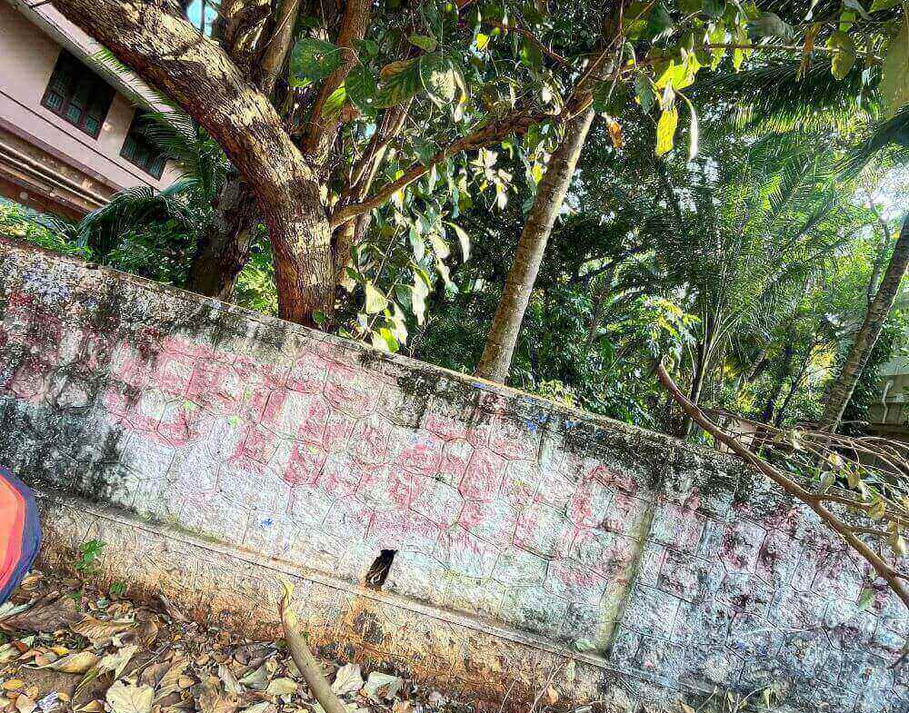 land-for-sale-in-asaripallam-4