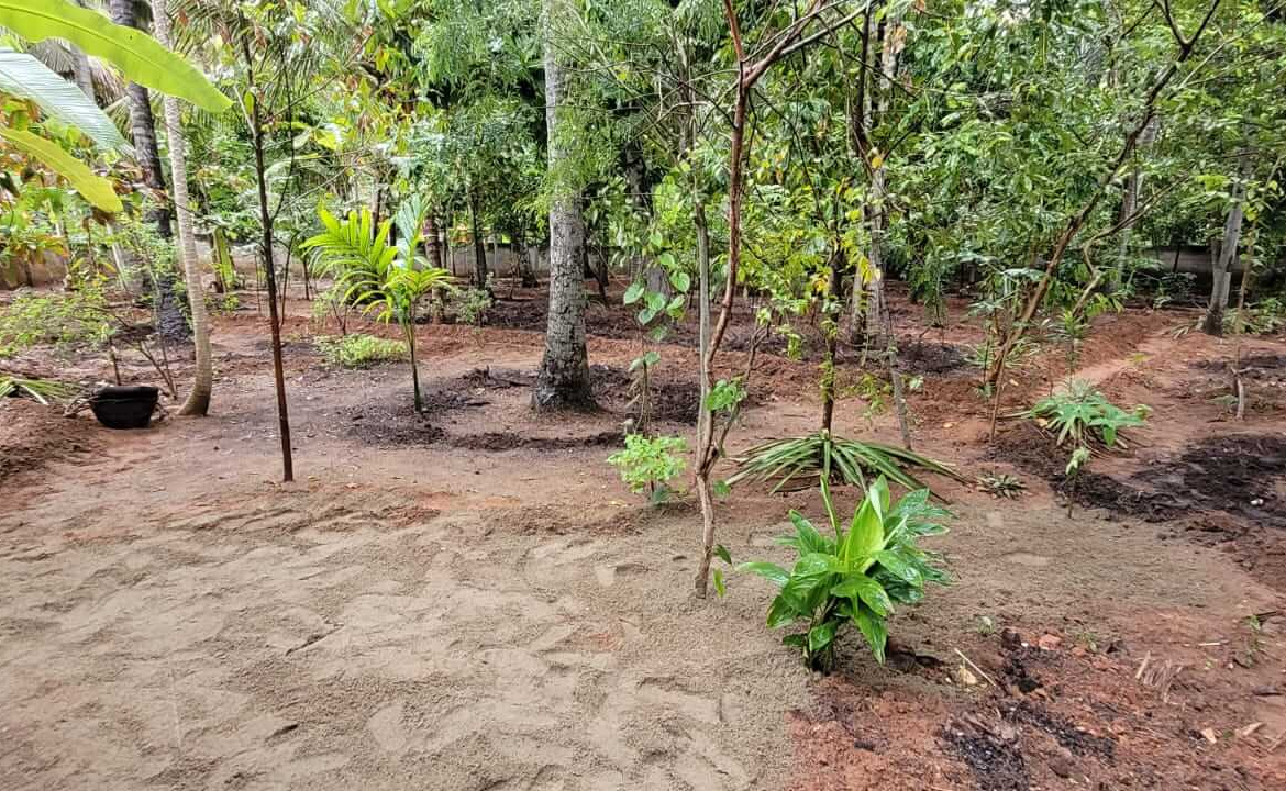 Land for sale in Elluvilai