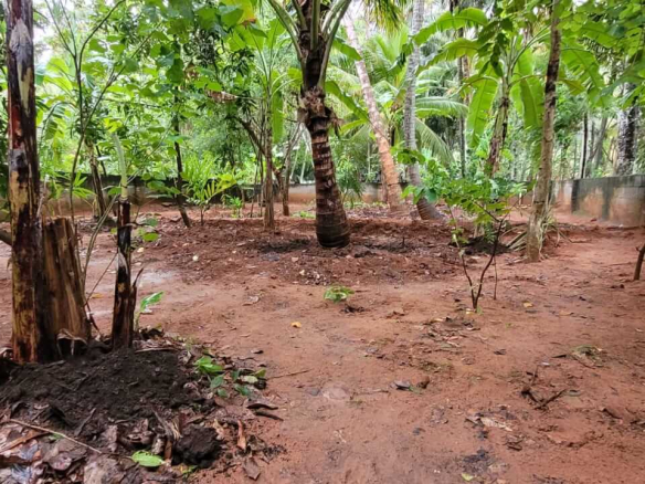 Land for sale in Elluvilai, Nagercoil 14 Land for sale in Elluvilai