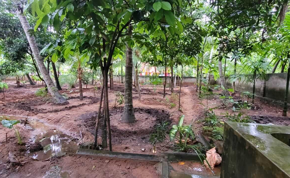 Land for sale in Elluvilai