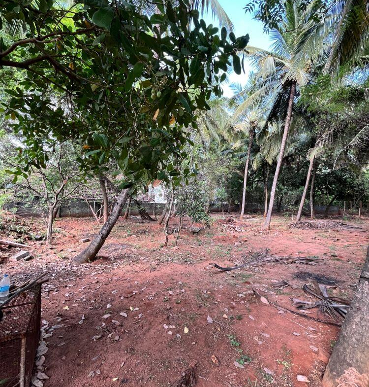 Land for Sale in Vadakkukonam-2