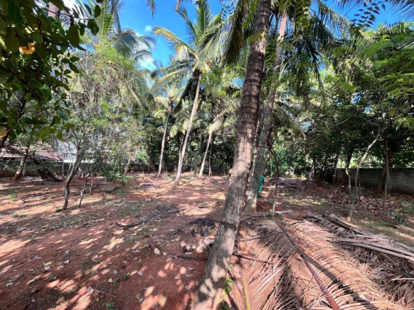 Land for Sale in Vadakkukonam 12 Land for Sale in Vadakkukonam