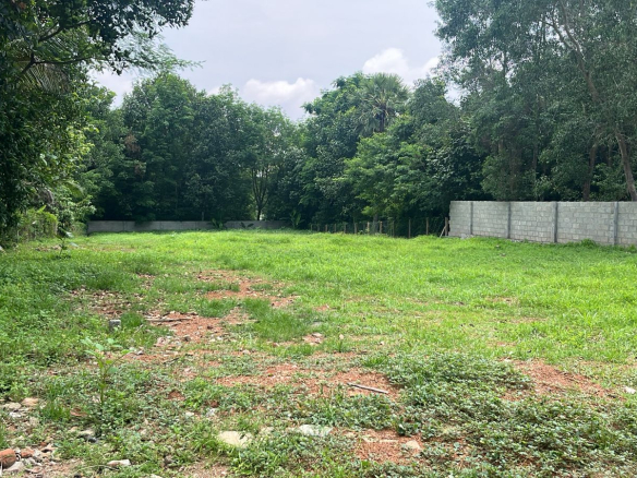 Land for sale in Thuckalay 10 Land for sale in Thuckalay