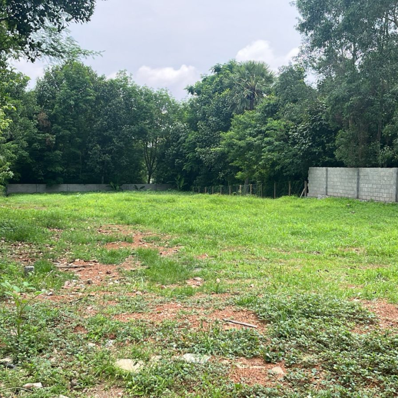 Land for sale in Thuckalay 10 Land for sale in Thuckalay