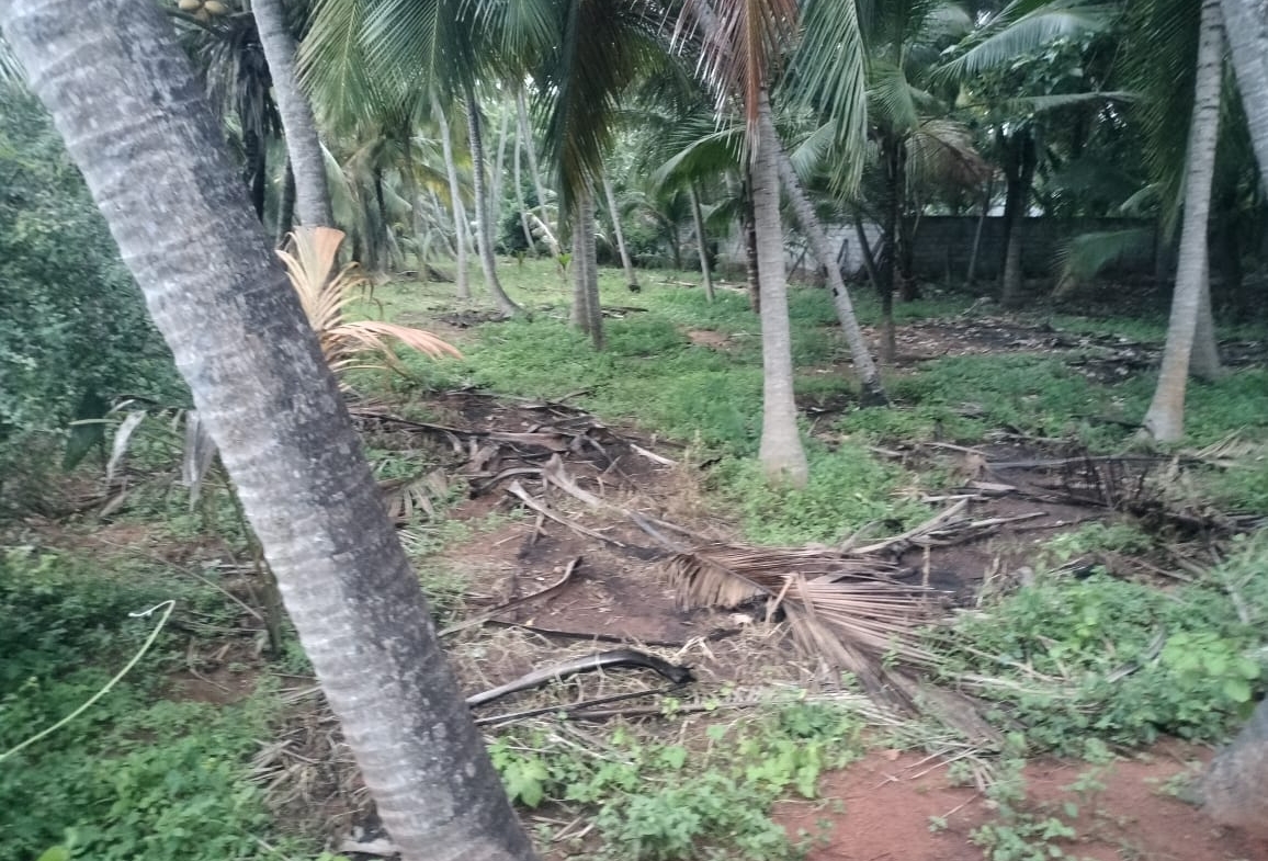 Land for sale in Chemponkarai