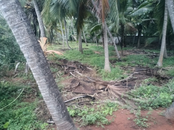 Best Land for Sale in Melakrishnanputhoor 9 Land for sale in Chemponkarai