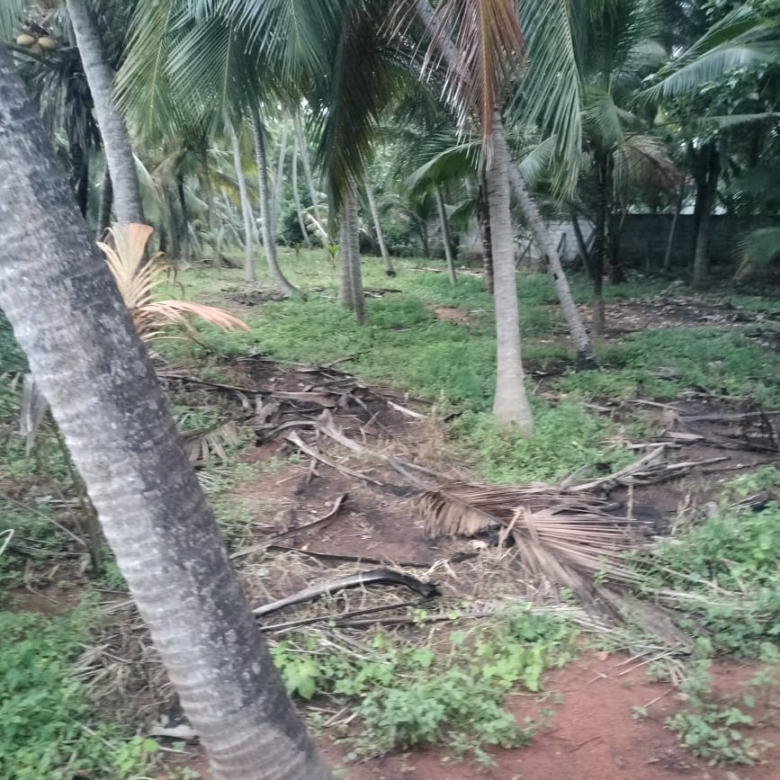 Best Land for Sale in Melakrishnanputhoor 11 Land for sale in Chemponkarai