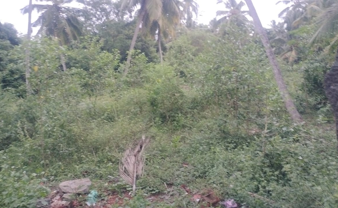 Land-for-sale-in-chemponkarai-3 Land for sale in Chemponkarai
