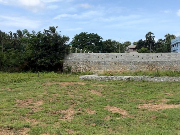 land for sale in parvathipuram 1