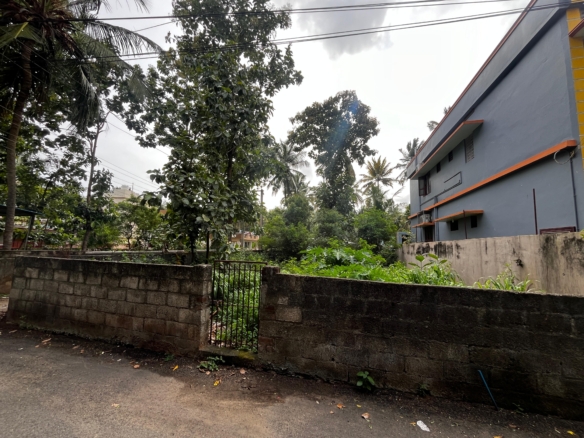 Land For Sale in Nesamony Nagar, Nagercoil 7 Land for sale in Nesamonynagar 2