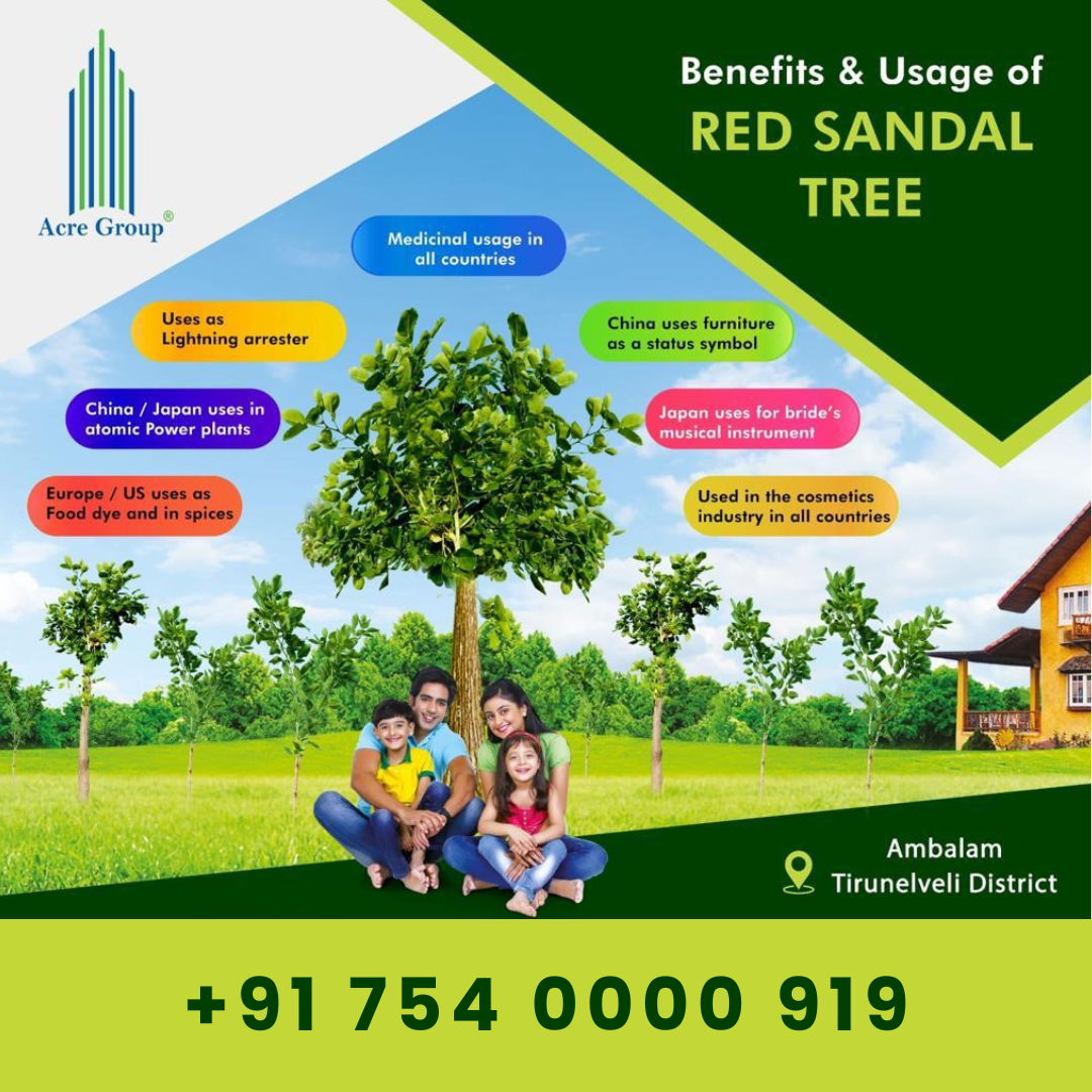 Plot-for-sale-in-Ariyakulam-6